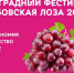 III межрайонный виноградный фестиваль "Дубовская лоза" - ДК Юность