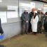 На урюпинском предприятии диагностируют производство в рамках бережливого производства - Газета Заря