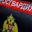 Росгвардейцы пресекли ряд правонарушений в Волгограде - Газета Заря